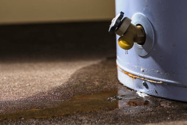 Best Sewage cleanup and water damage restoration  in Camp Barrett, VA