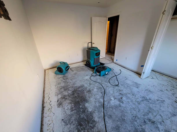 Best Mold removal after water damage  in Camp Barrett, VA