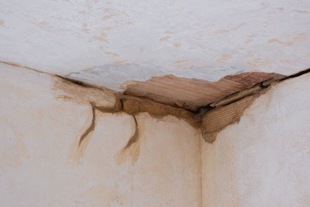 Best Water damage cleanup near me  in Camp Barrett, VA