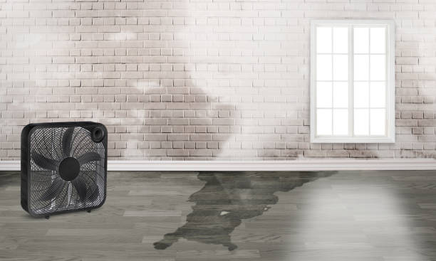 Best Fire Damage Restoration  in Camp Barrett, VA