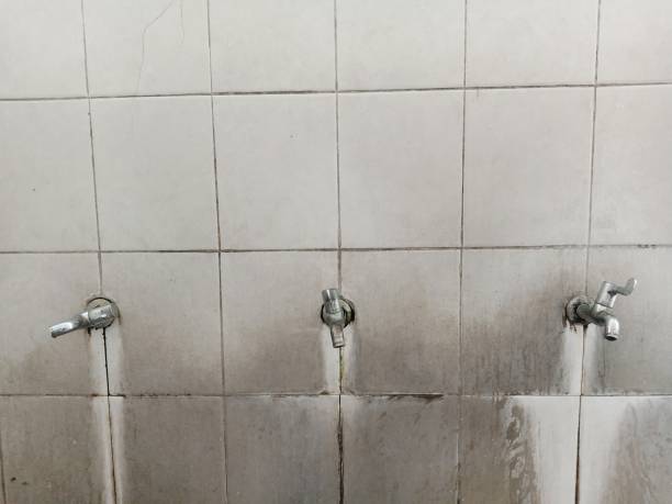 Best Water damage contractors near me  in Camp Barrett, VA